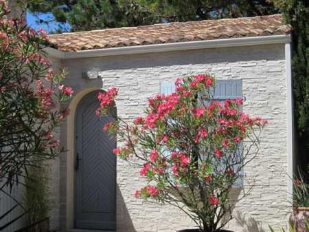 Photo of Others in Saint-Georges-d'Oleron