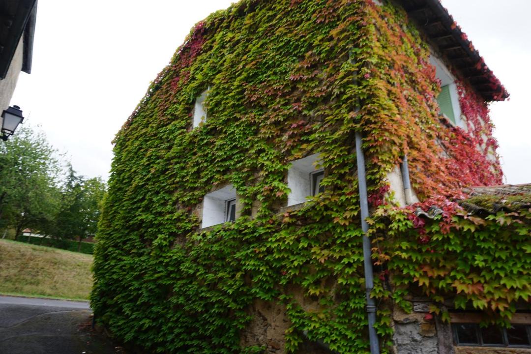 Photo of Buildings in L'Isle-Jourdain