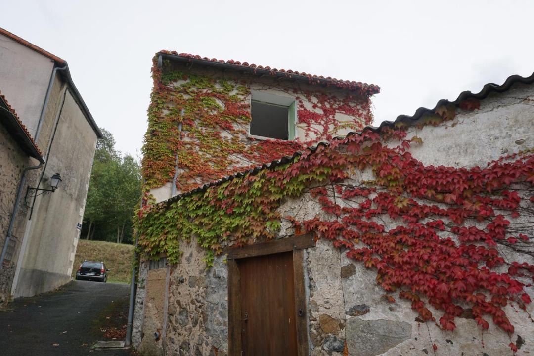 Photo of Buildings in L'Isle-Jourdain