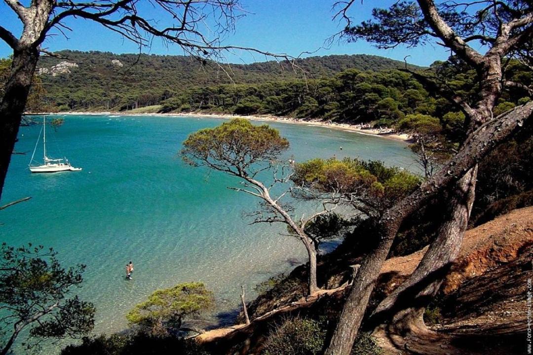 Photo of Outdoor in Carqueiranne