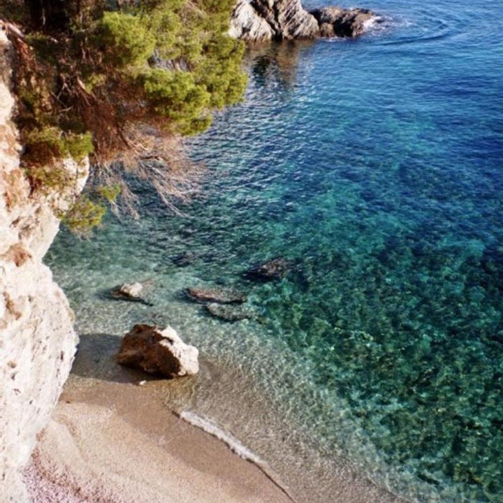Photo of Outdoor in Carqueiranne
