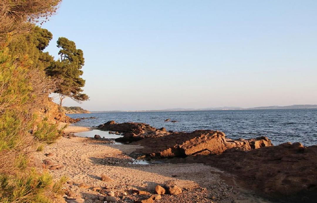 Photo of Outdoor in Carqueiranne