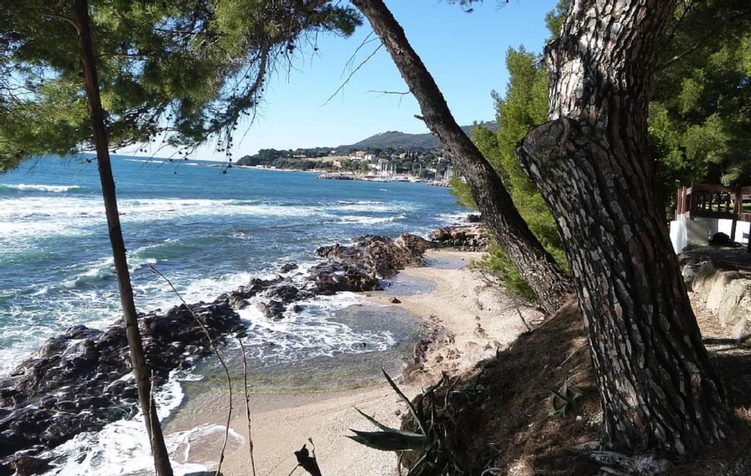 Photo of Outdoor in Carqueiranne