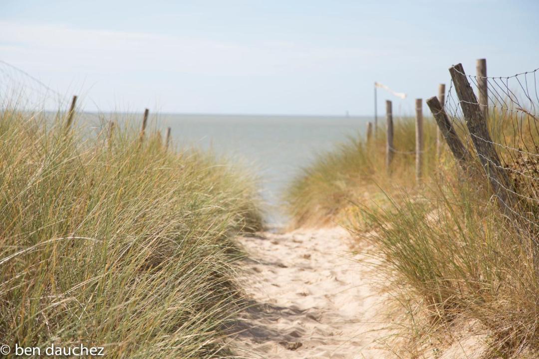 Photo of Others in La Couarde-sur-Mer