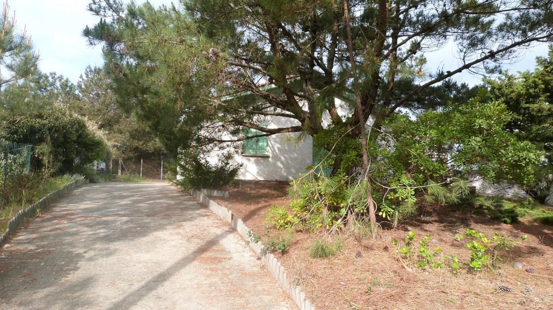 Photo of Others in Lege-Cap-Ferret