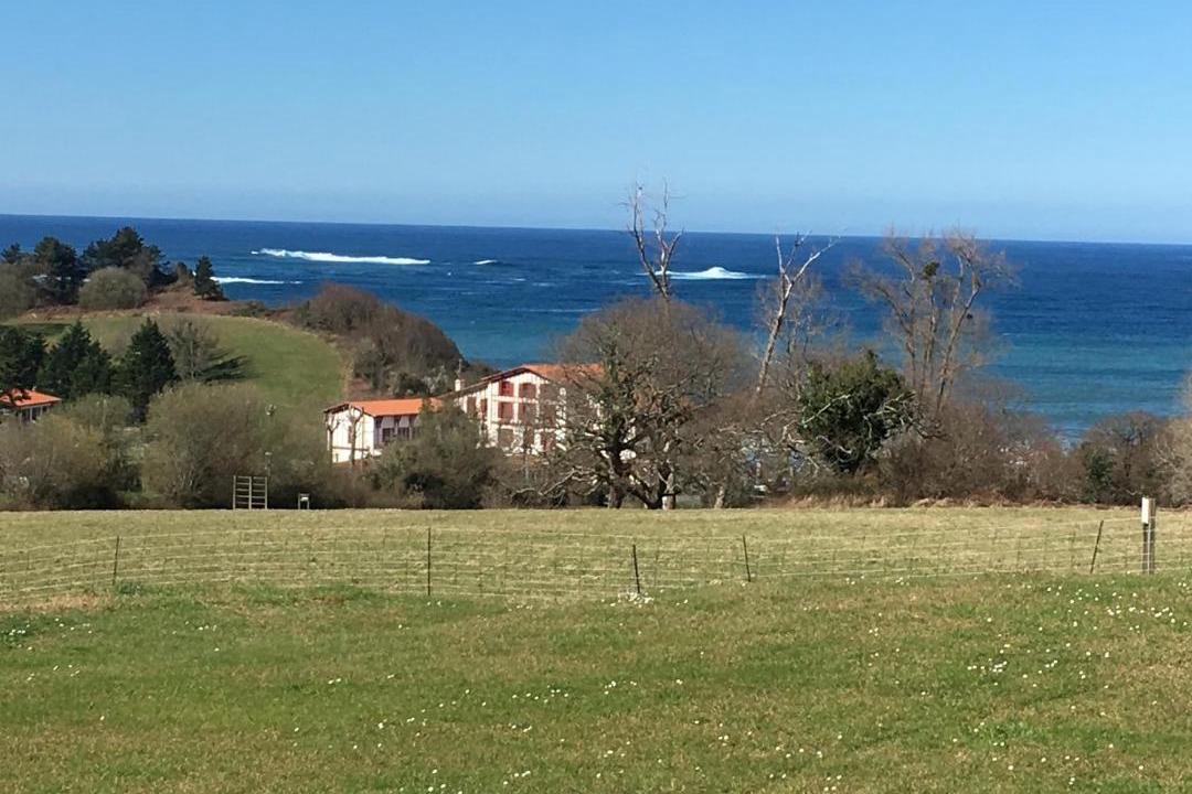 Photo of Others in Behobie