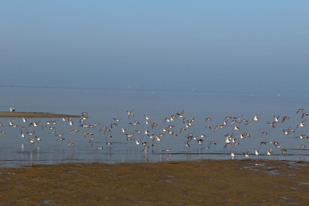 Photo of Others in Andernos-les-Bains