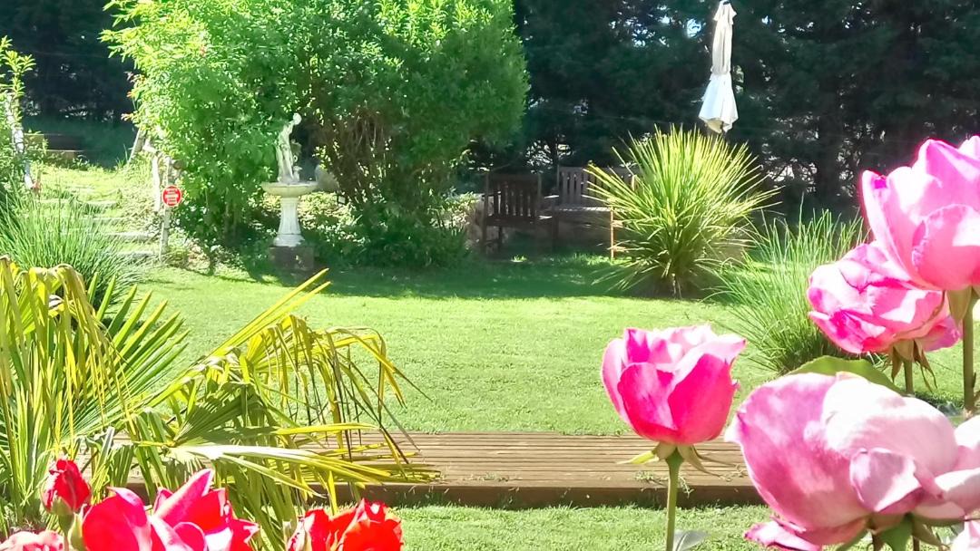 Photo of Others in Lussac-les-Chateaux