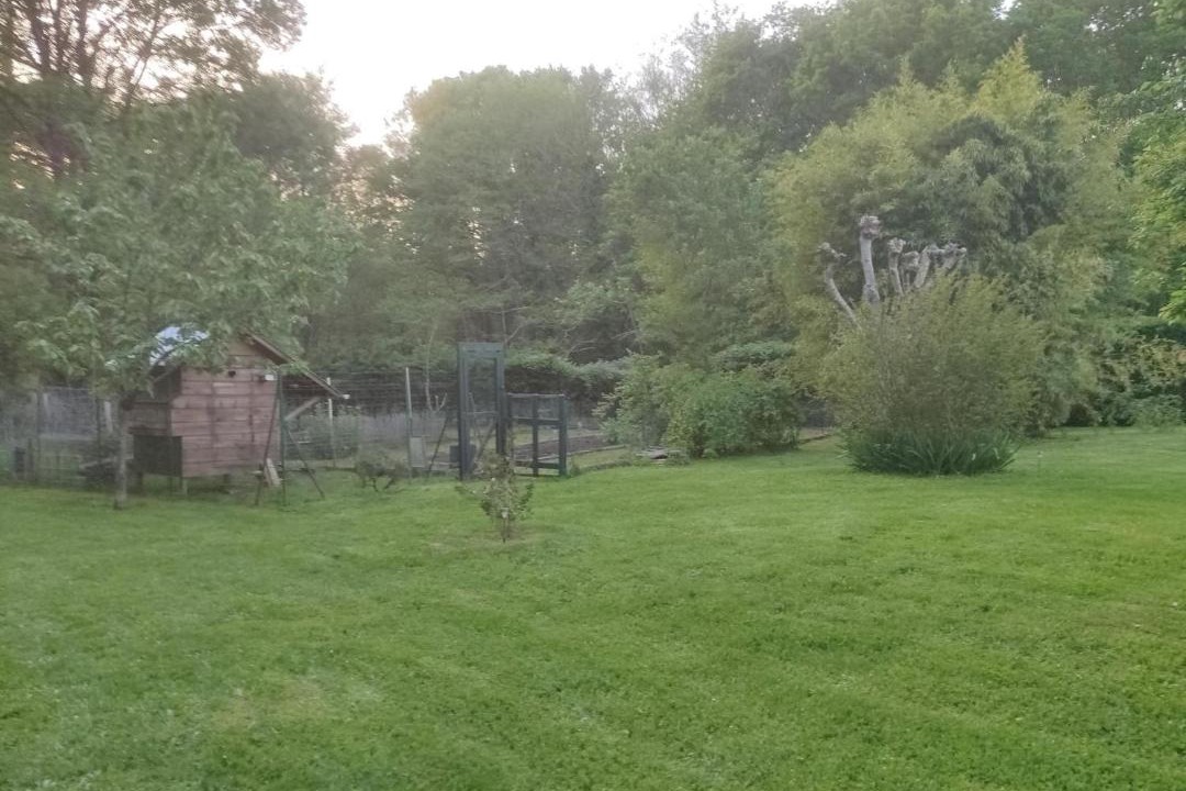 Photo of Outdoor in Reignac