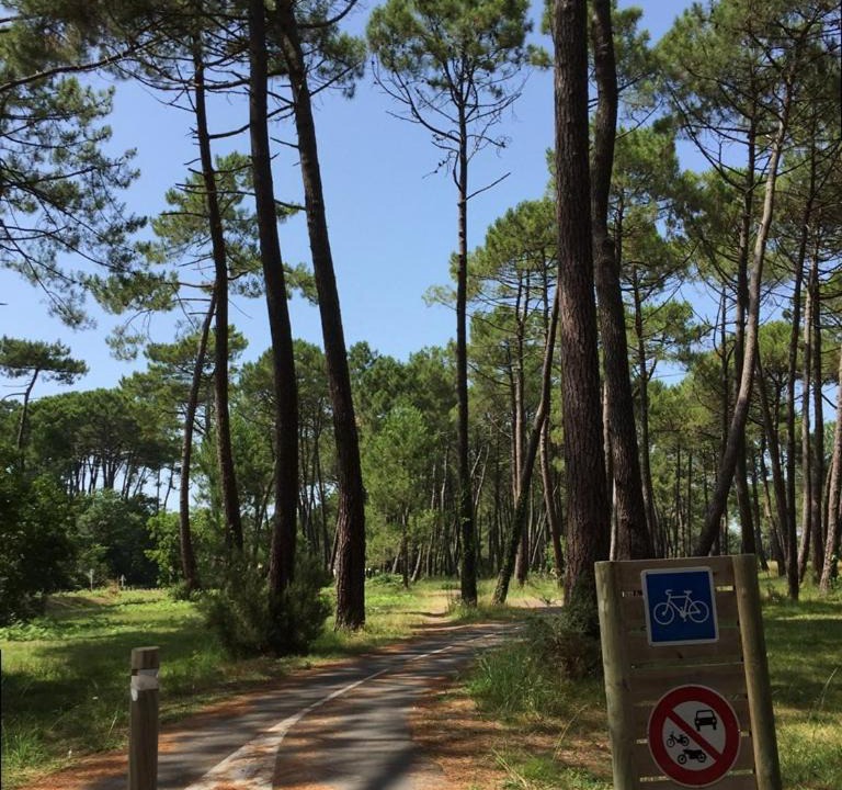 Photo of Outdoor in Biscarrosse
