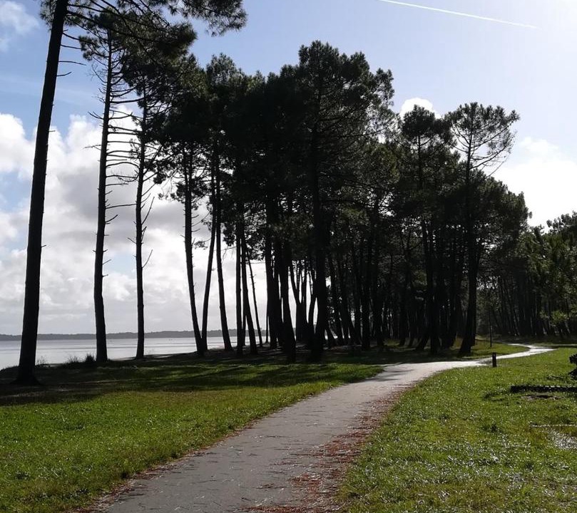 Photo of Others in Biscarrosse