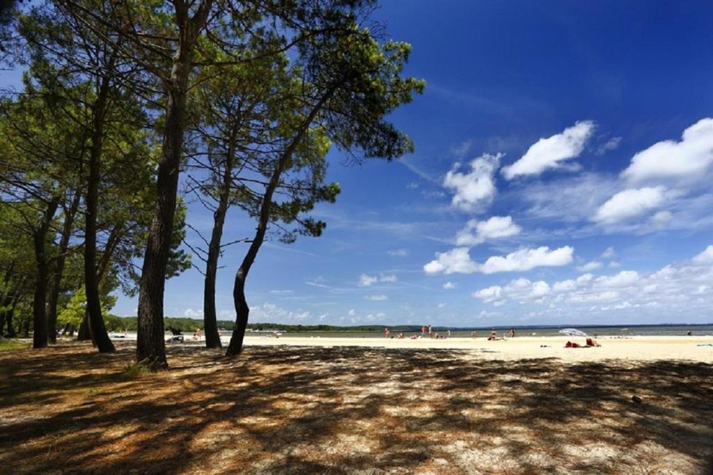 Photo of Outdoor in Biscarrosse