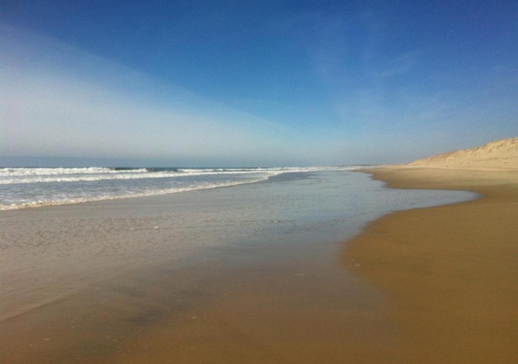 Photo of Outdoor in Biscarrosse