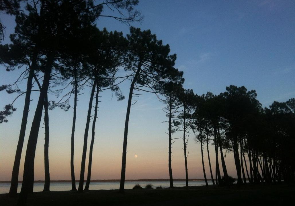 Photo of Outdoor in Biscarrosse