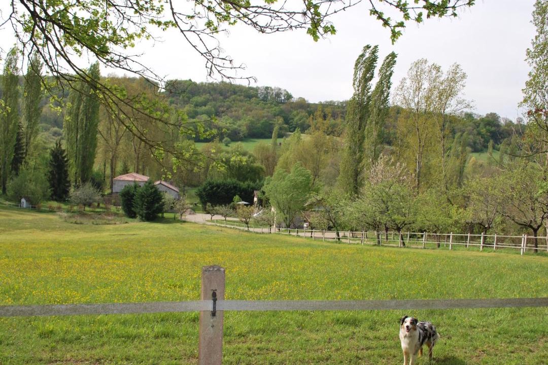 Photo of Others in Fregimont