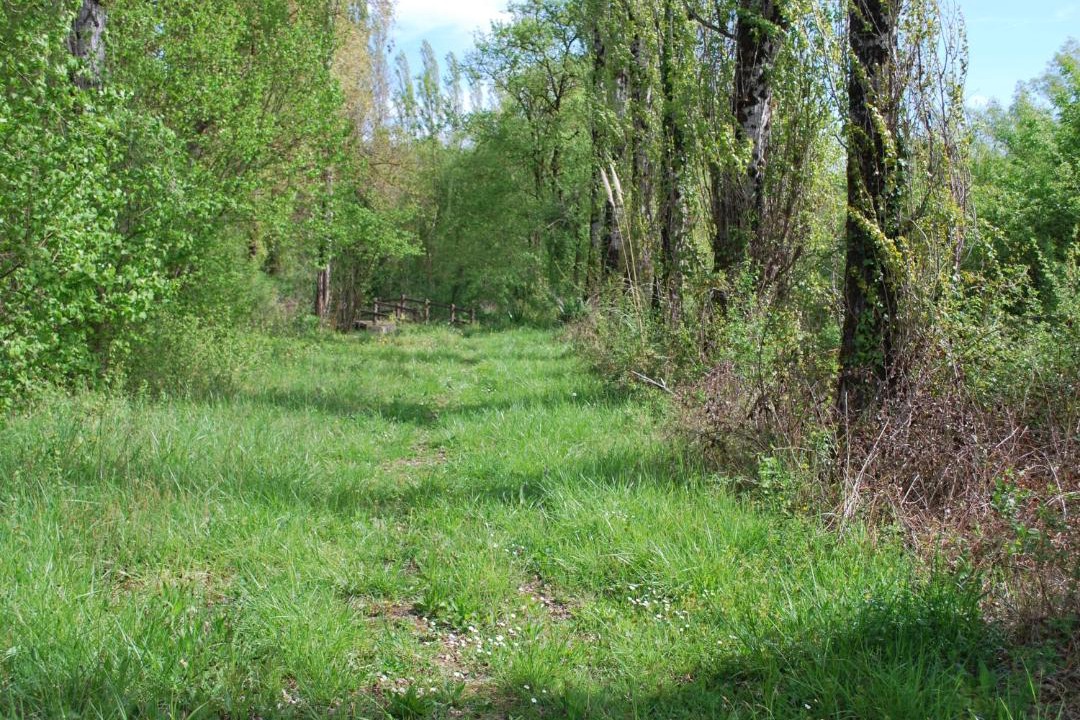 Photo of Others in Fregimont
