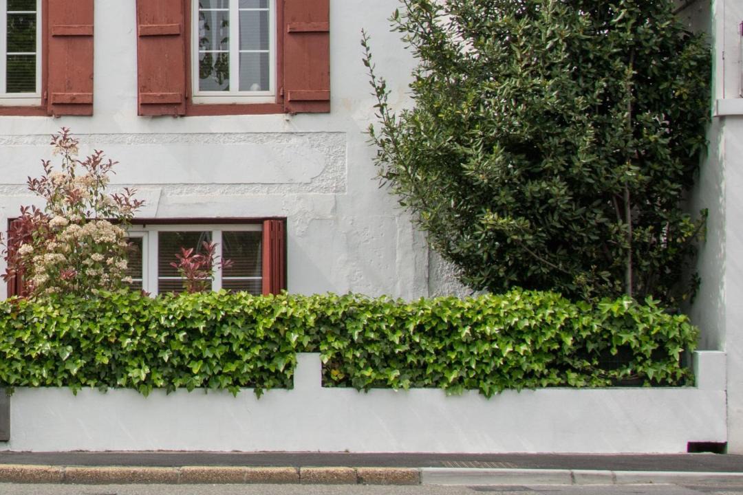Photo of Buildings in Saint-Jean-de-Luz