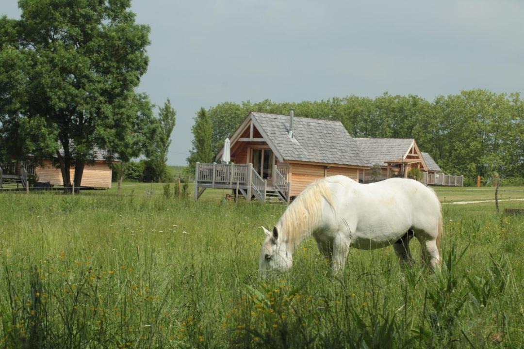 Photo of Others in Berson