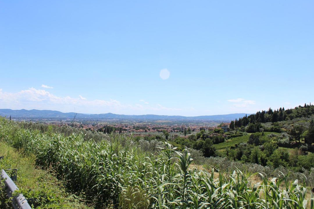 Photo of Others in Sesto Fiorentino