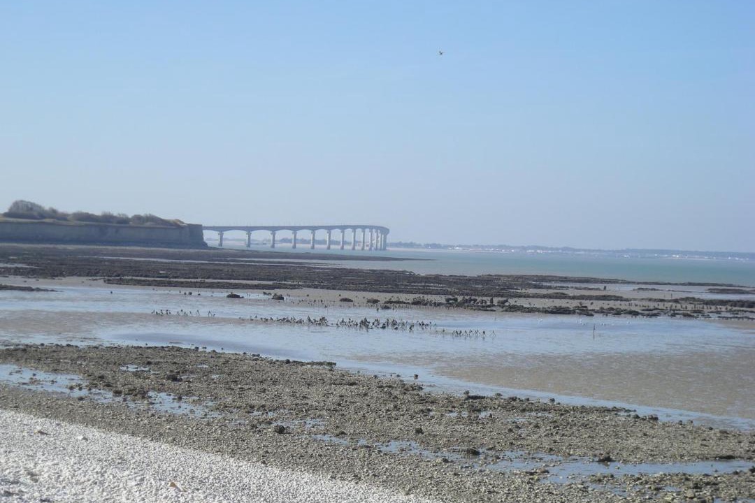 Photo of Others in La Rochelle City Centre