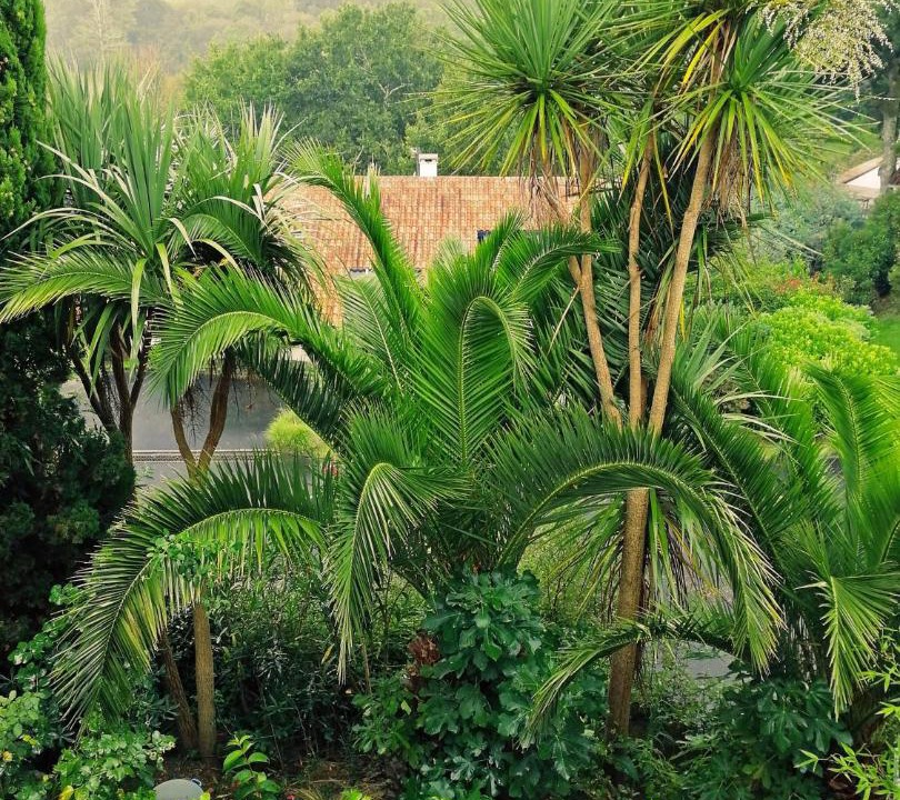 Photo of Others in Bassussarry