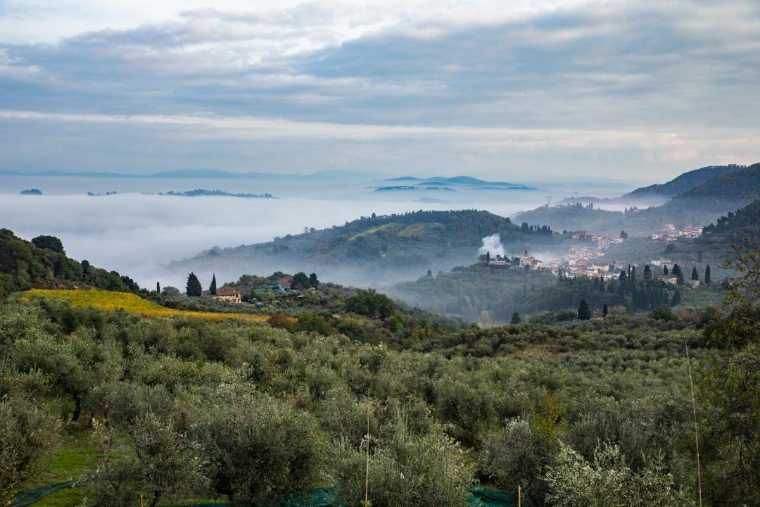 Photo of Outdoor in Carmignano