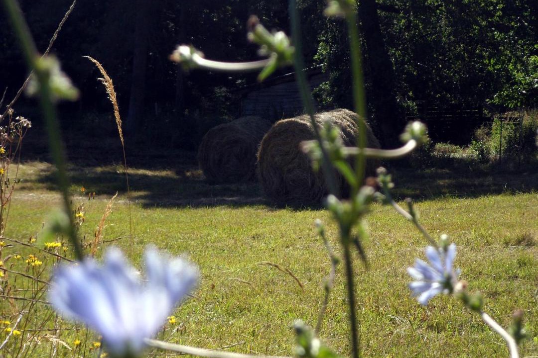 Photo of Others in Boulazac-Isle-Manoire