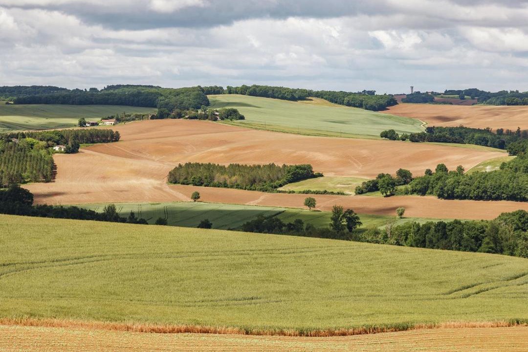 Photo of Outdoor in Sainte-Foy-de-Belves