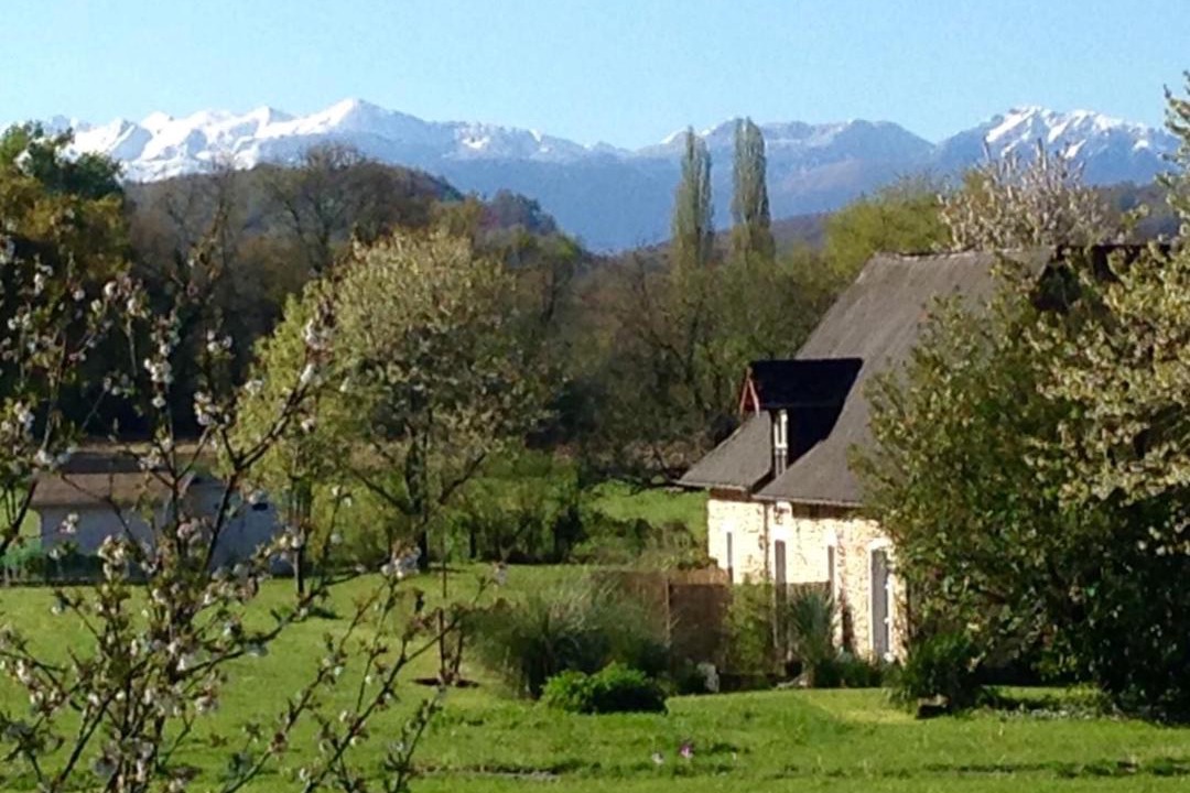 Photo of Others in Monein