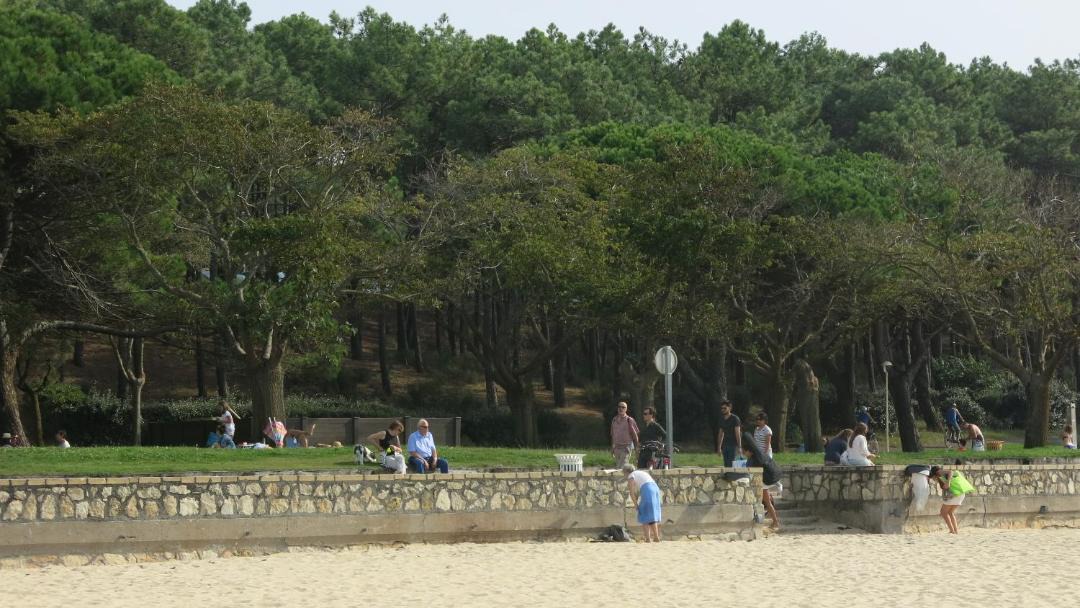 Photo of Others in Arcachon