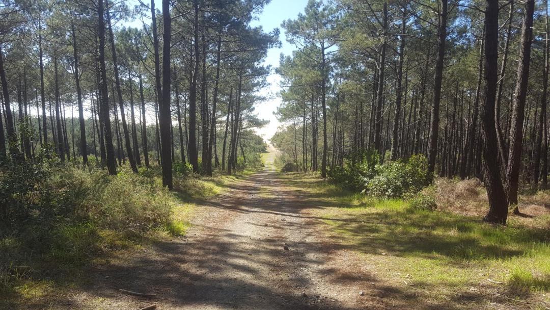 Photo of Others in Messanges