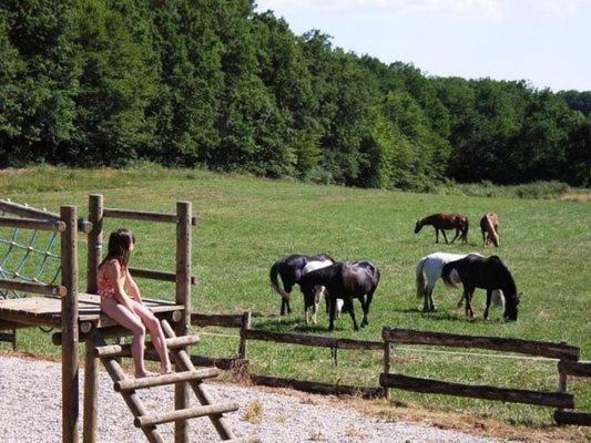 Photo of Others in Gavaudun