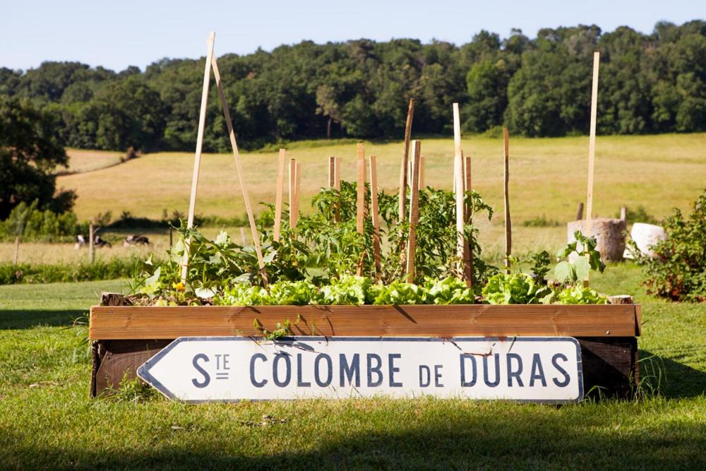 Photo of Others in Sainte-Colombe-de-Duras
