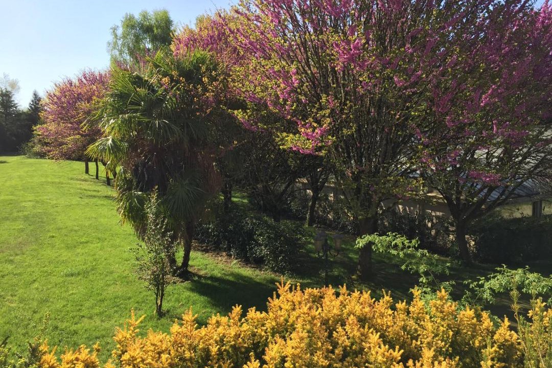 Photo of Outdoor in Thiviers