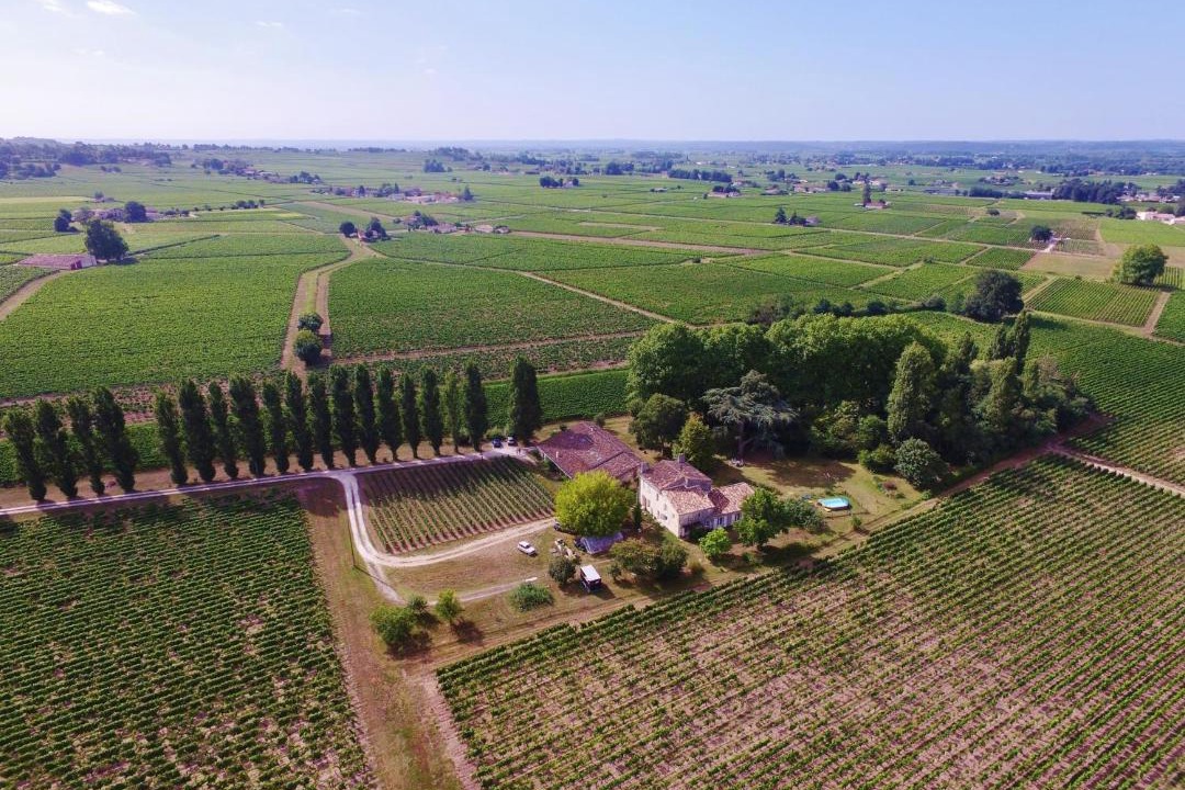Photo of Others in Saint-Emilion