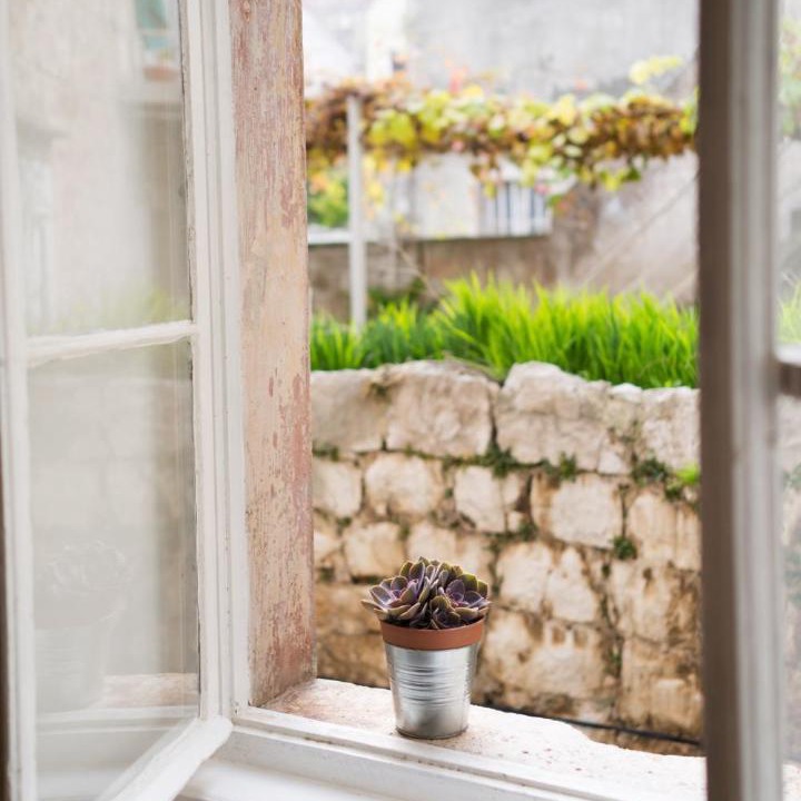 Photo of Others in Vis
