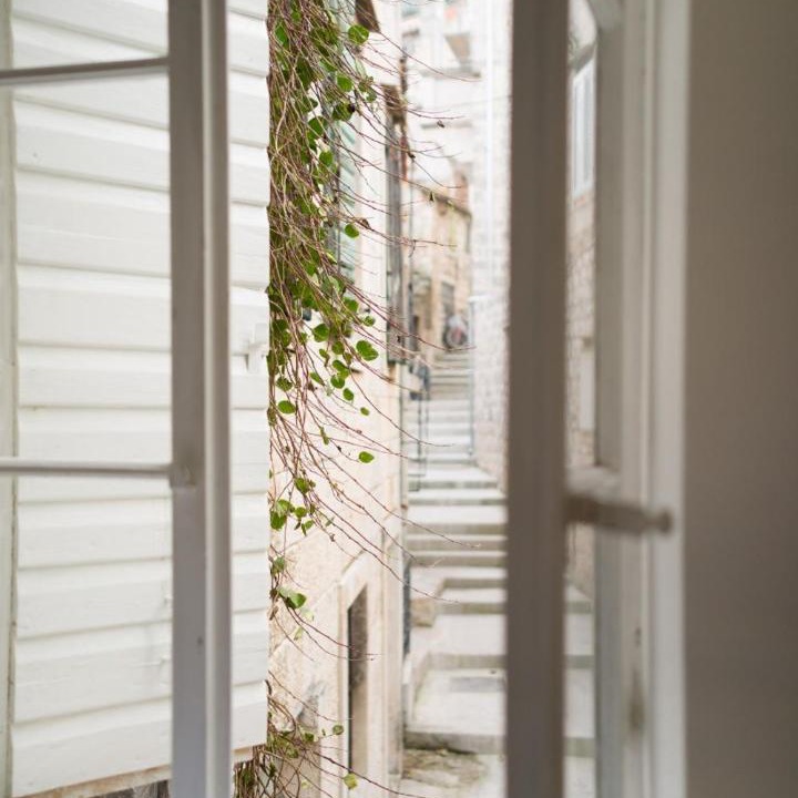 Photo of Others in Vis
