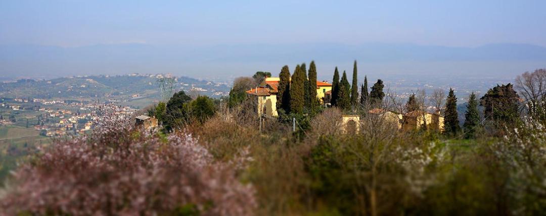 Photo of Others in Carmignano