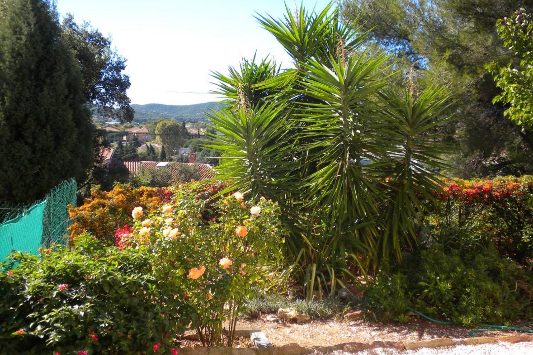 Photo of Others in Le Lavandou