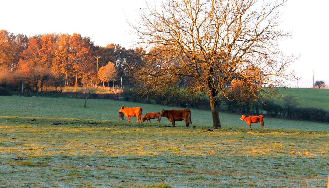 Photo of Others in Rouffignac-Saint-Cernin-de-Reilhac