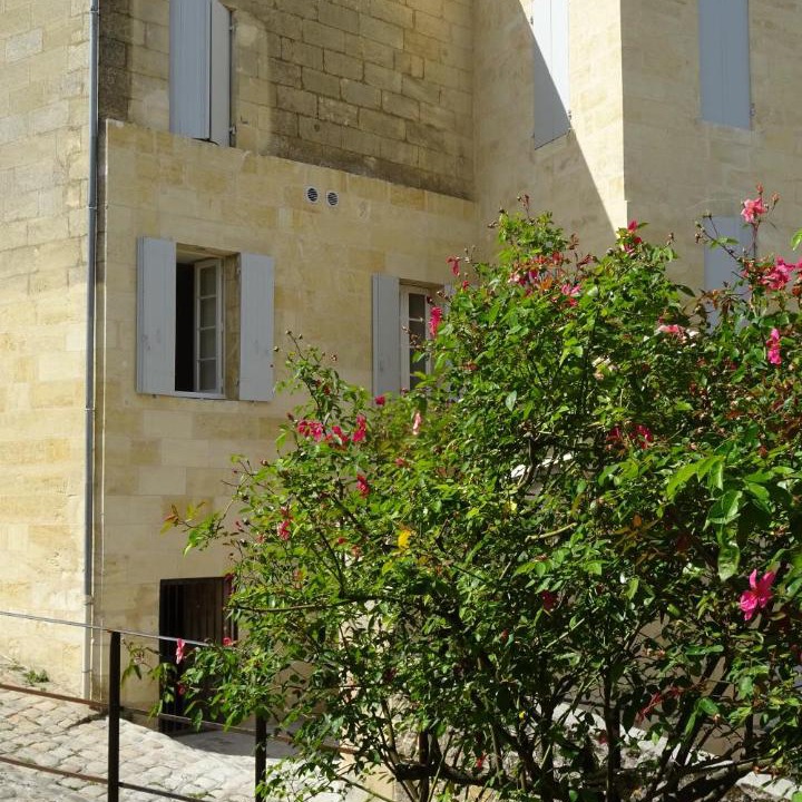 Photo of Others in Saint-Emilion