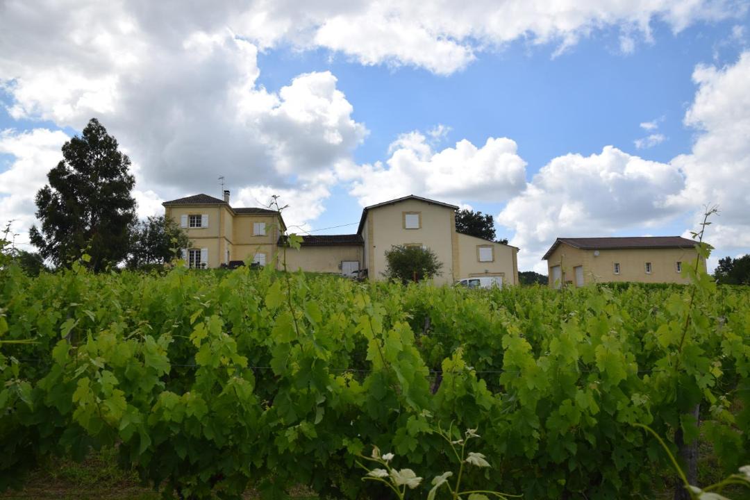 Photo of Buildings in Puynormand