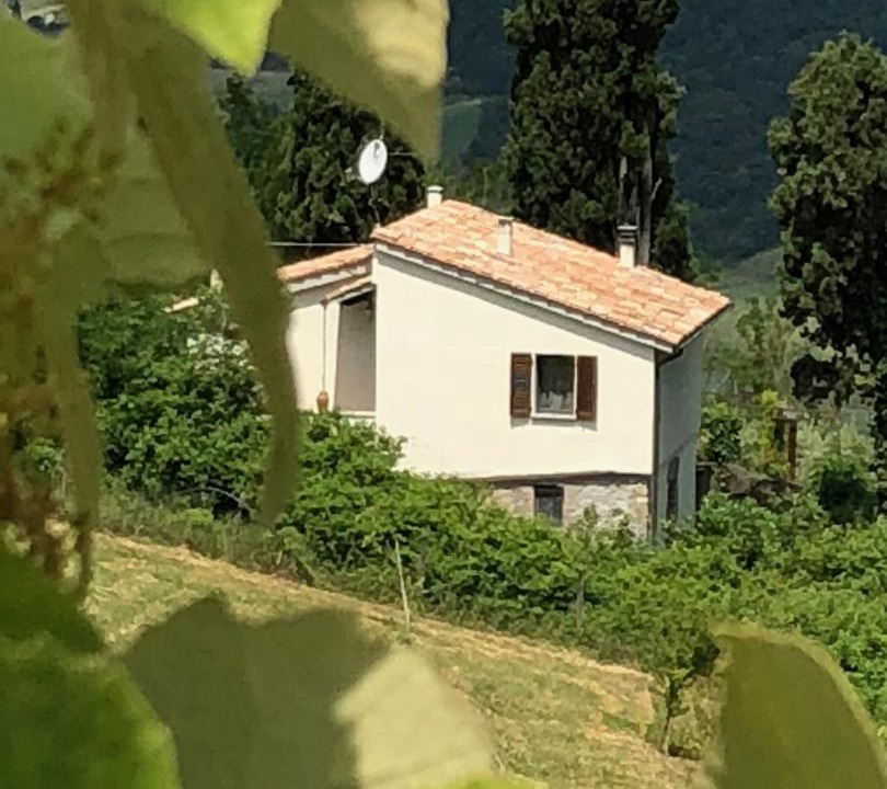 Photo of Others in Celle sul Rigo
