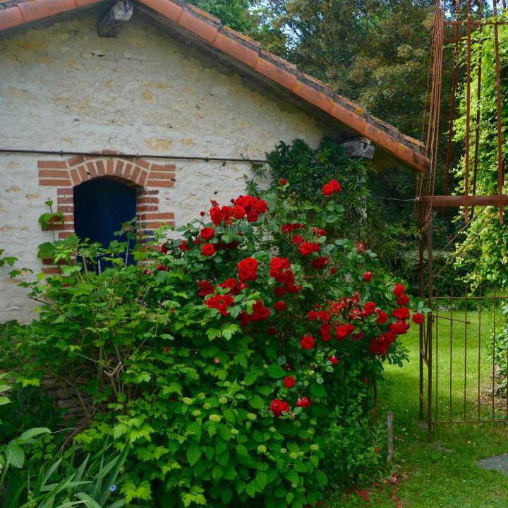 Photo of Others in Usson-du-Poitou