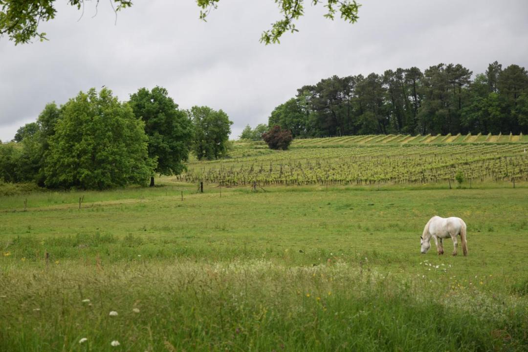 Photo of Others in Puynormand