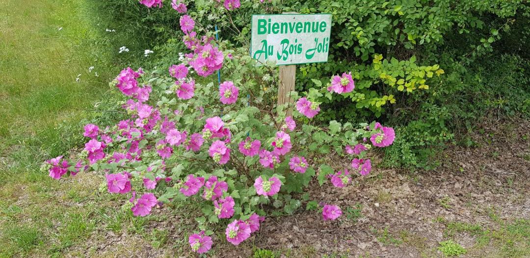 Photo of Outdoor in Bussac-Foret