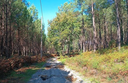 Vielle-Saint-Girons House | Maison Janet 5km vom Superstrand