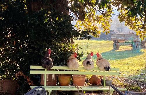 Bourg-sur-Gironde Bed & Breakfast | Chambre d'hôte près Bordeaux